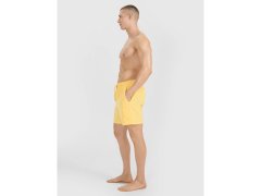 Pánské boardshortky 4F 4FWSS25UBDSM134-71S 2