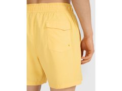 Pánské boardshortky 4F 4FWSS25UBDSM134-71S 5