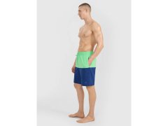 Pánské plážové šortky boardshorts 4F 4FWSS25UBDSM135-42S 3