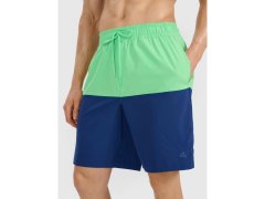 Pánské plážové šortky boardshorts 4F 4FWSS25UBDSM135-42S 4
