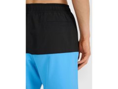 Pánské plážové šortky boardshorts 4F 4FWSS25UBDSM135-48S 5