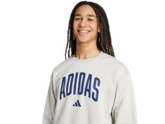 Pánská mikina adidas Collegiate Sweatshirt, šedá, JM1732, pánská 6