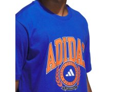 Pánské tričko adidas Varsity Crest, modré, JN2515, pánské 2