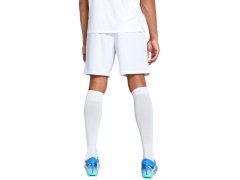 Puma Team Goal pánské šortky bílé 705752 04 3