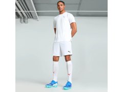Puma Team Goal pánské šortky bílé 705752 04 7