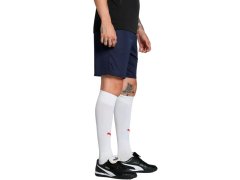 Pánské šortky Puma Team Goal navy blue 705752 06 2
