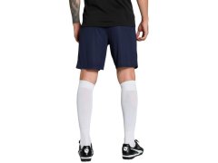 Pánské šortky Puma Team Goal navy blue 705752 06 5