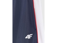 Pánské tepláky typu jogger 4F 4FRAW25TTROM1611-31S 5