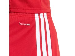 Pánské šortky adidas Tiro 26 League červené KA8791 3