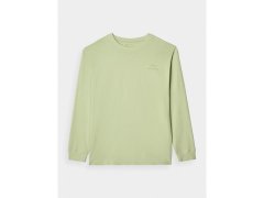 Pánské tričko oversize s&nbsp;potiskem a&nbsp;dlouhým rukávem 4F 4FRAW24TLONM502-44S 5
