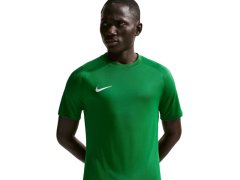 NIke Dri-Fit Park VIII pánské tričko zelené HV8173 302 pánské 2