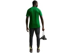 NIke Dri-Fit Park VIII pánské tričko zelené HV8173 302 pánské 6