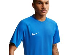 Nike Dri-Fit Park VIII pánské tričko modré HV8173 463 pánské 3