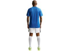 Nike Dri-Fit Park VIII pánské tričko modré HV8173 463 pánské 6