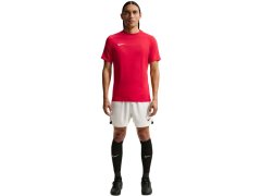 Nike Dri-Fit Park VIII pánské tričko červené HV8173 657 pánské 5