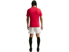 Nike Dri-Fit Park VIII pánské tričko červené HV8173 657 pánské 6