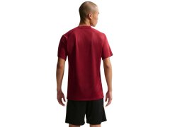 Nike Dri-Fit Park VIII pánské tričko bordó HV8173 677 pánské 1