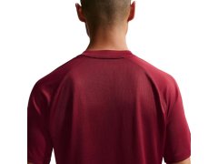 Nike Dri-Fit Park VIII pánské tričko bordó HV8173 677 pánské 4