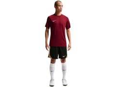 Nike Dri-Fit Park VIII pánské tričko bordó HV8173 677 pánské 5