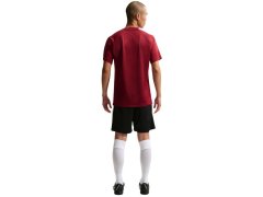 Nike Dri-Fit Park VIII pánské tričko bordó HV8173 677 pánské 6