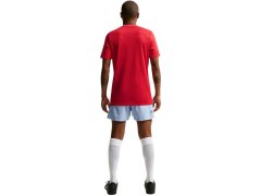 Pánské tričko Nike Dri-Fit Park 26 SS Top červené HM7127 657 pánské 4
