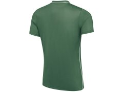 Pánské tričko Nike Dri-Fit Park 26 SS Top green HM7127 302 pánské 3