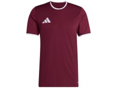 Pánské tričko adidas Entrada 26 Jersey maroon JZ2507 1
