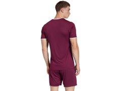Pánské tričko adidas Entrada 26 Jersey maroon JZ2507 3