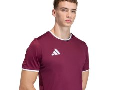 Pánské tričko adidas Entrada 26 Jersey maroon JZ2507 4