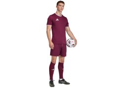 Pánské tričko adidas Entrada 26 Jersey maroon JZ2507 7