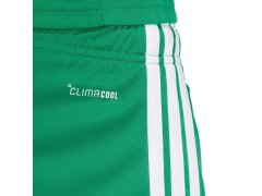 Pánské šortky adidas Tiro 26 League zelené KA8774 3