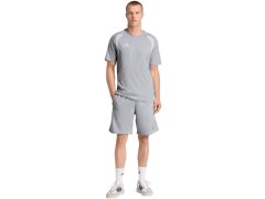 Pánské šortky adidas Tiro 26 League Sweat šedé JY9669 5