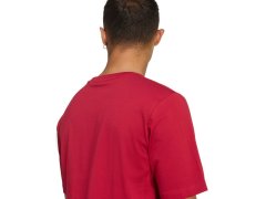 Pánské tričko adidas Collegiate Lineage červené KH4593 pánské 4