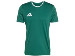 Pánské tričko adidas Entrada 26 Jersey green KE9832 pánské 1