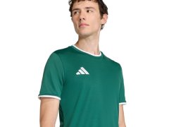 Pánské tričko adidas Entrada 26 Jersey green KE9832 pánské 4