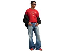 Pánské tričko Puma Class Graphic Tee červené 692226 11 pánské 4