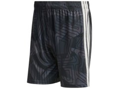 Pánské šortky adidas Tiro 26 Competition Goalkeeper black KC5351 1