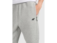 Pánské tepláky typu jogger 4F 4FRMM00TTROM1623-27M 5