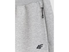 Pánské tepláky typu jogger 4F 4FRMM00TTROM1623-27M 6
