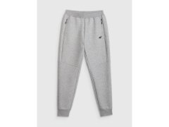 Pánské tepláky typu jogger 4F 4FRMM00TTROM1623-27M 8