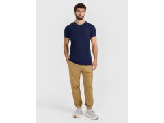Pánské tepláky typu jogger 4F 4FRMM00TTROM1627-83S 2
