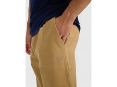Pánské tepláky typu jogger 4F 4FRMM00TTROM1627-83S 3