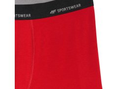Pánské boxerky 4F M080 2-pack multicolor 4FWMM00UBXSM080 90S 3