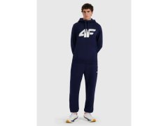 Pánské tepláky typu jogger 4F 4FRMM00TTROM1625-31S 1