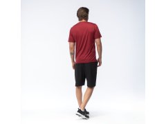 Pánské šortky LONNI SHORTS 2