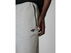 Pánské tepláky typu jogger 4F 4FRMM00TTROM2020-27M 5