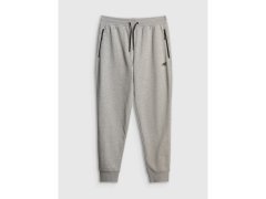 Pánské tepláky typu jogger 4F 4FRMM00TTROM2020-27M 8