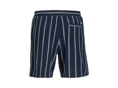 Jack&Jones pánské pruhované šortky JPSTJAIDEN COBA STRIPE JOG SHORTS REG SN SN 12274413 SKY CAPTAIN/STRIPES 7
