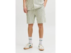 Jack&Jones pánské pruhované šortky JPSTJAIDEN COBA STRIPE JOG SHORTS REG SN 12274413 TEA/STRIPES 1