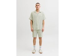 Jack&Jones pánské pruhované šortky JPSTJAIDEN COBA STRIPE JOG SHORTS REG SN 12274413 TEA/STRIPES 2